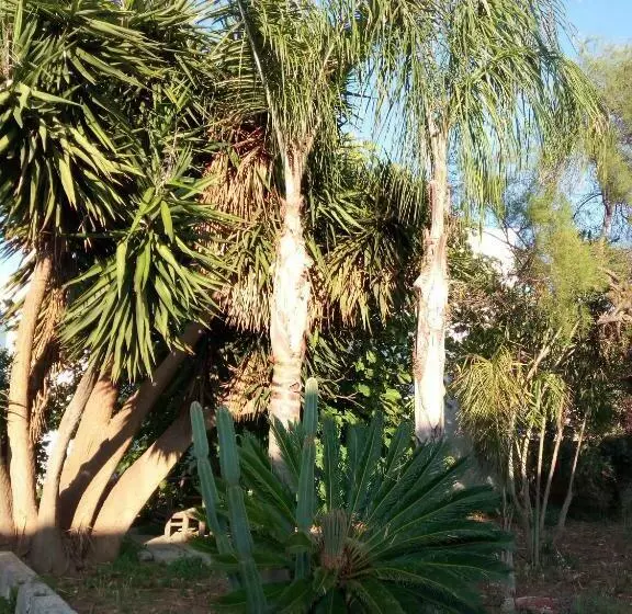 Aamiaismajoitus (B&B) La Zavirna