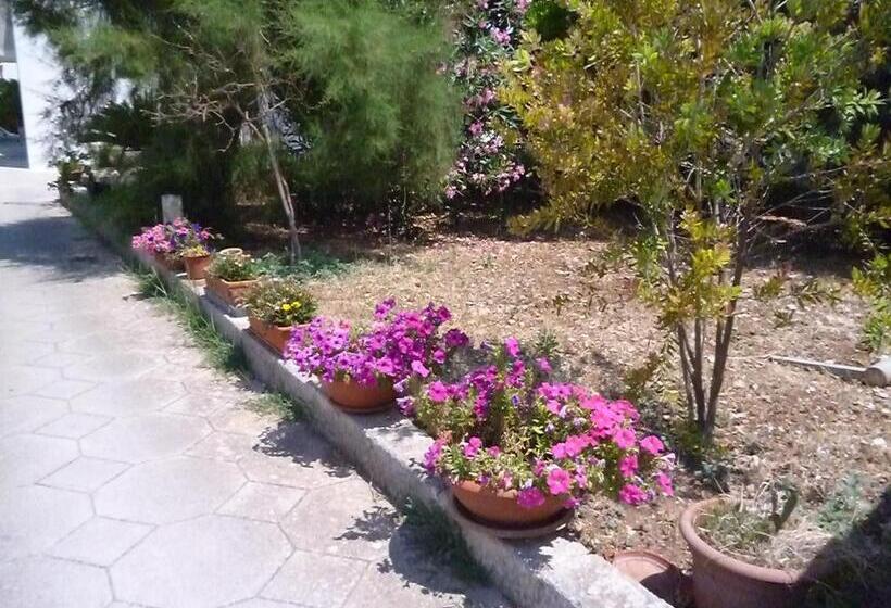 مبيت وإفطار La Zavirna