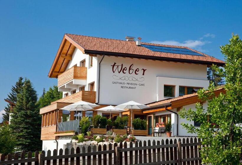 בית מלון כפרי Gasthof Weber