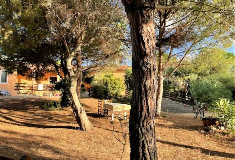 Hotelli Il Lentischio Del Sinis