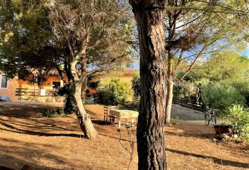 هتل Il Lentischio Del Sinis