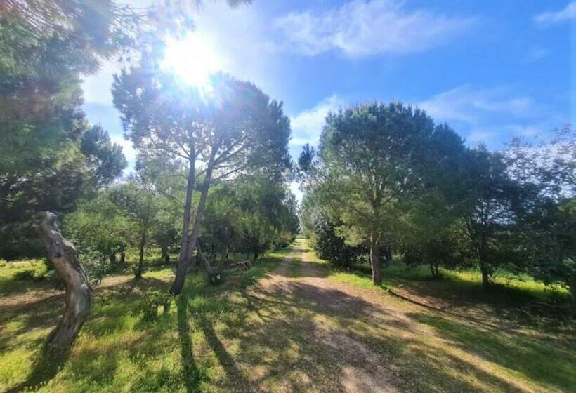 Hotelli Il Lentischio Del Sinis