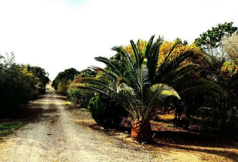 Hotelli Il Lentischio Del Sinis