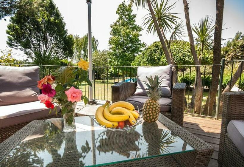 בית מלון כפרי Relais Villaggio Azzurro