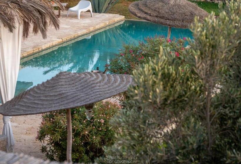 بنسيون Dar Alya Essaouira Maison Et Table D Hôtes