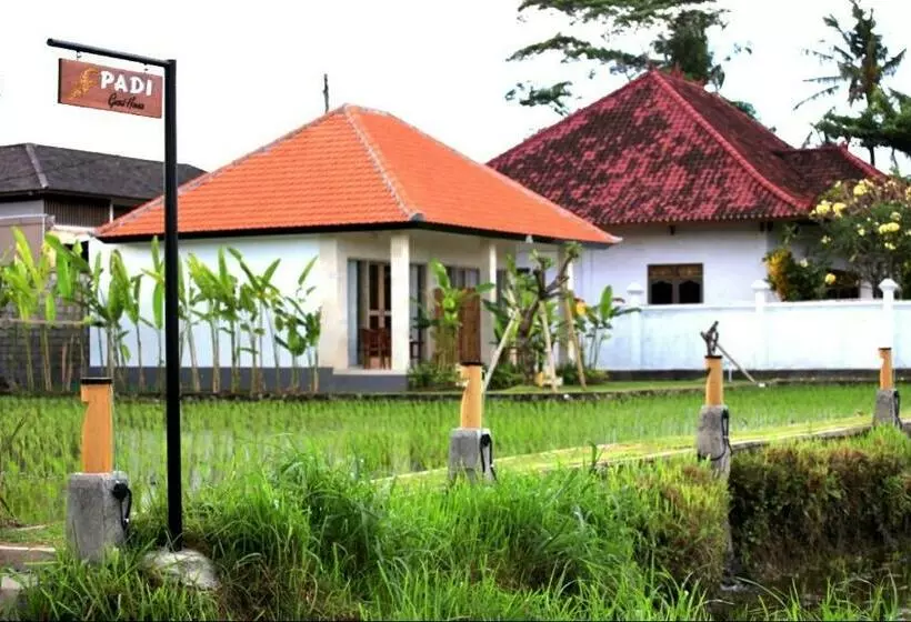 پانسیون Padi Guest House