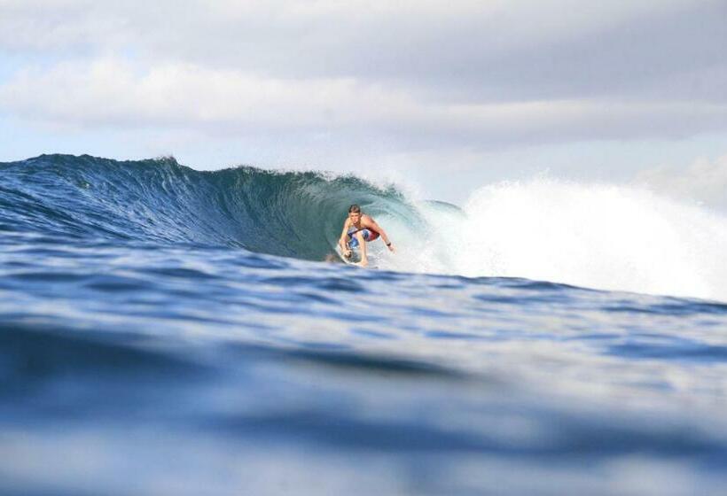 膳宿费 Padi Guest House