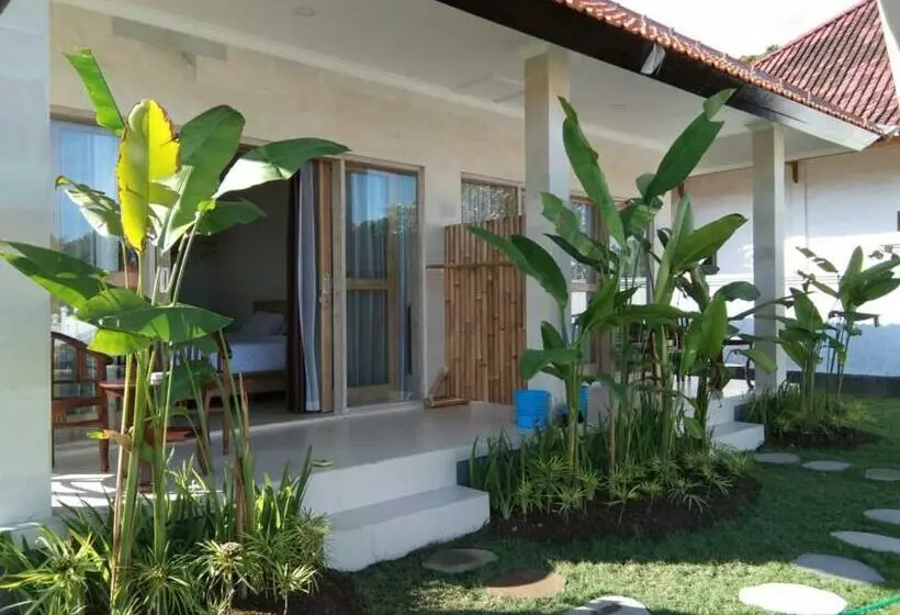 پانسیون Padi Guest House