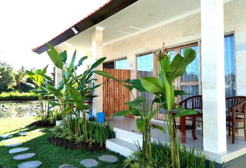 膳宿费 Padi Guest House