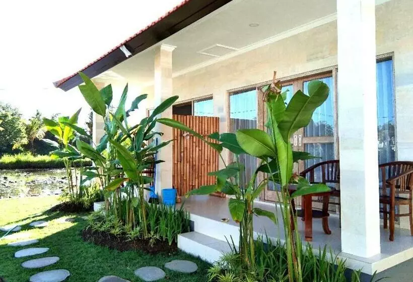پانسیون Padi Guest House
