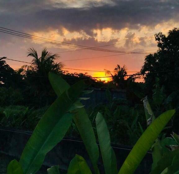 膳宿费 Padi Guest House