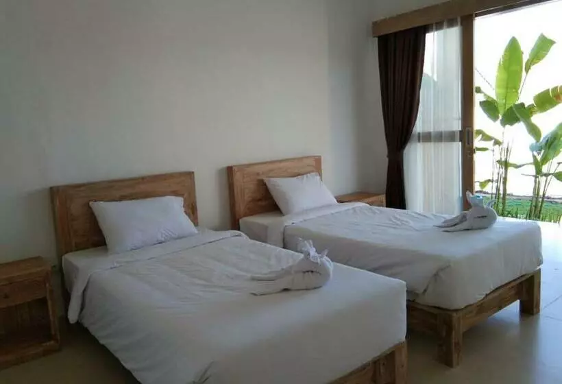 پانسیون Padi Guest House