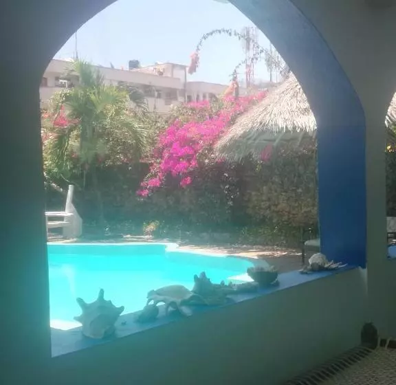 پانسیون Chiky Villa