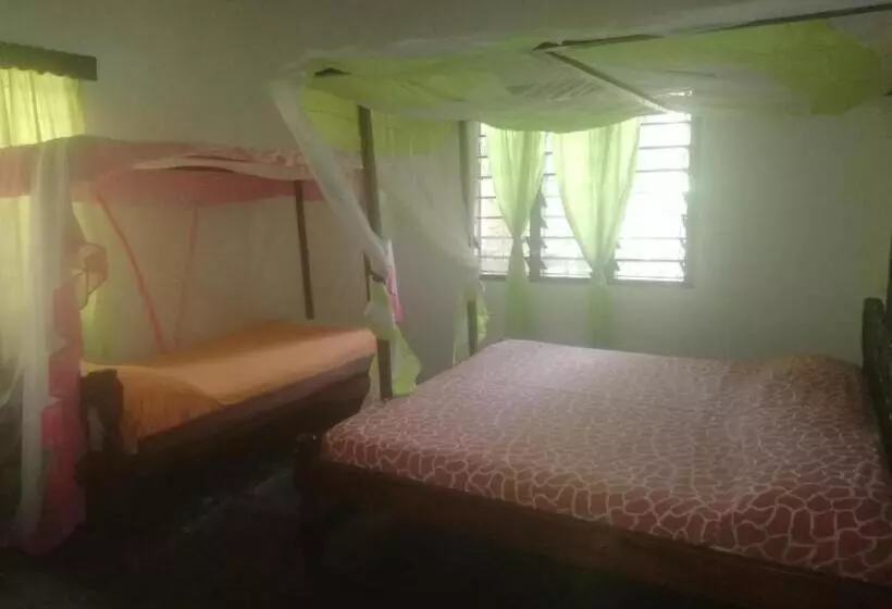 پانسیون Chiky Villa