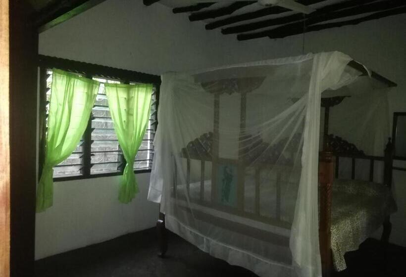 پانسیون Chiky Villa