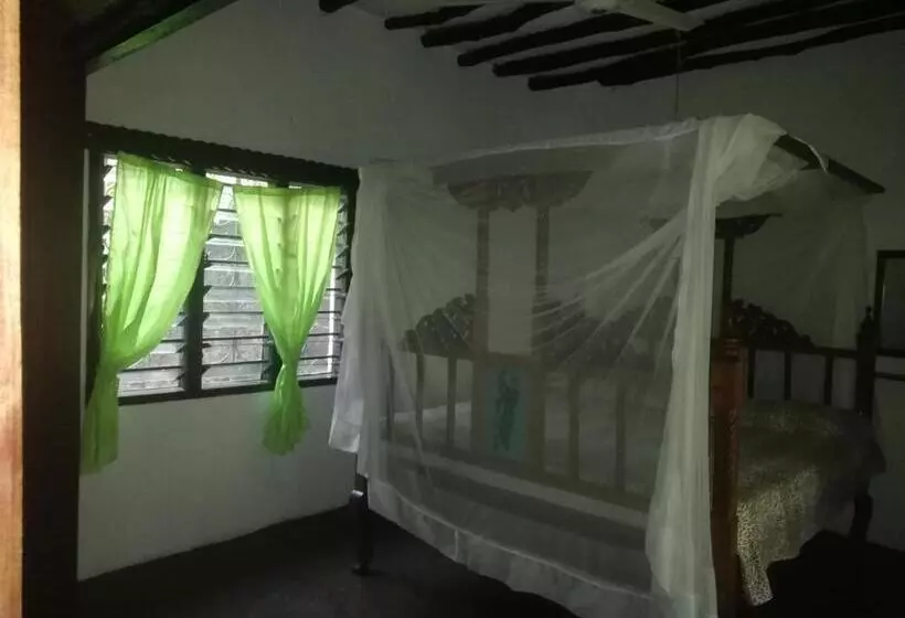 پانسیون Chiky Villa