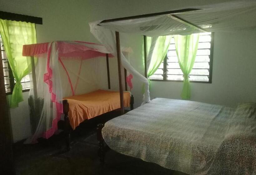 پانسیون Chiky Villa