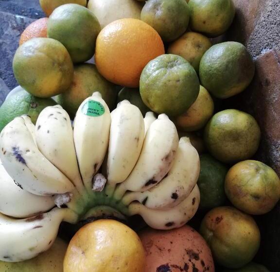 پانسیون Chiky Villa