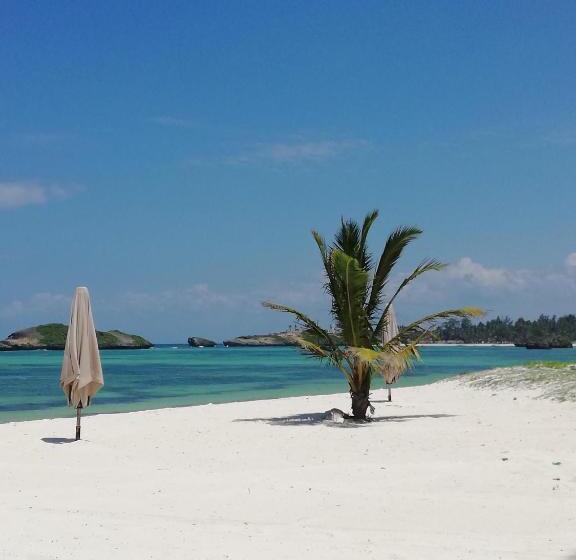 پانسیون Chiky Villa