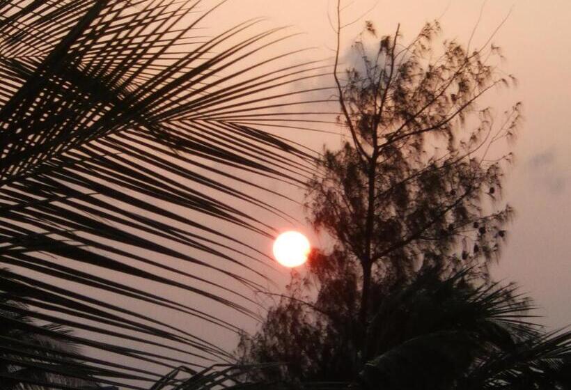 پانسیون Chiky Villa