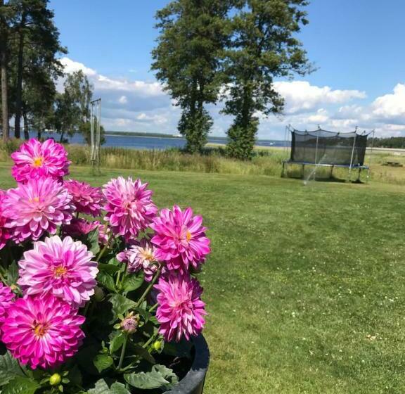 פנסיון Hammaröstugan