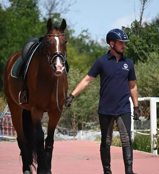 Majatalo Terra Penzión