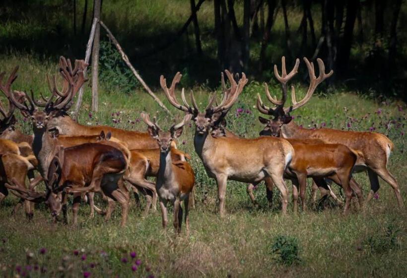 بنسيون Terra Penzión