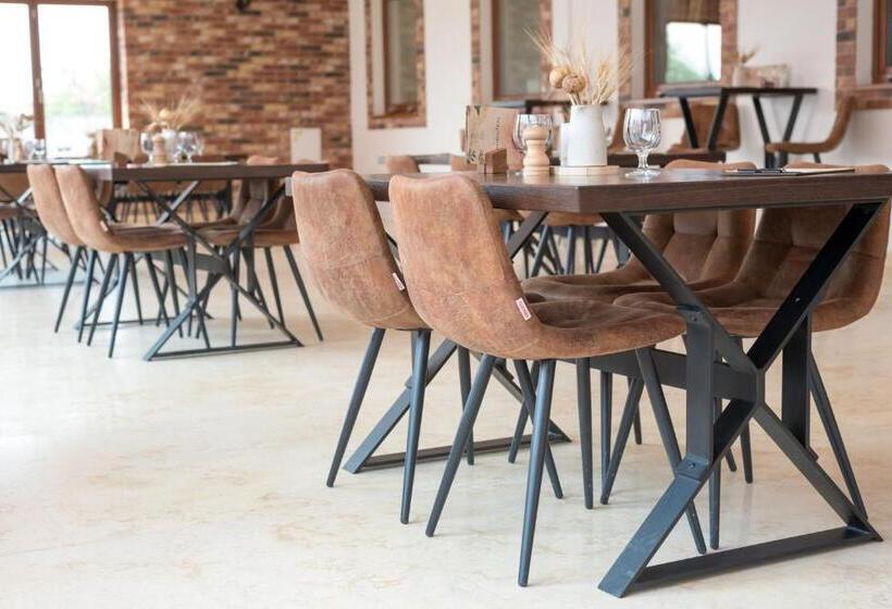 بنسيون Terra Penzión