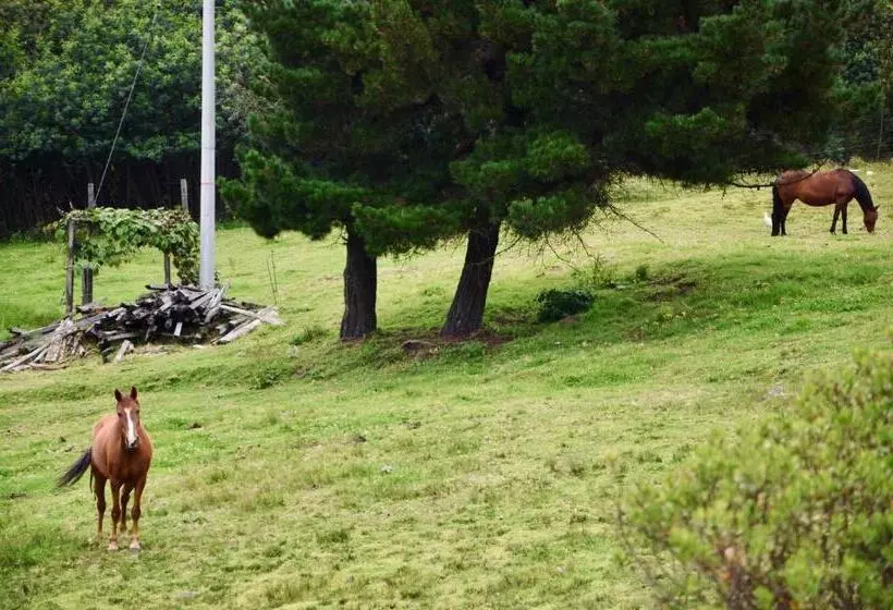 Sumangá Hotel Boutique