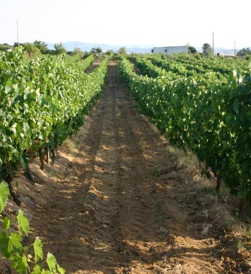 Agriturismo B&b Domo De Resteblas