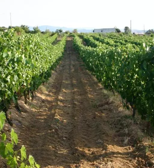 Agriturismo B&b Domo De Resteblas