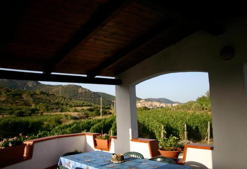 Agriturismo B&b Domo De Resteblas