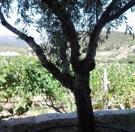 Agriturismo B&b Domo De Resteblas