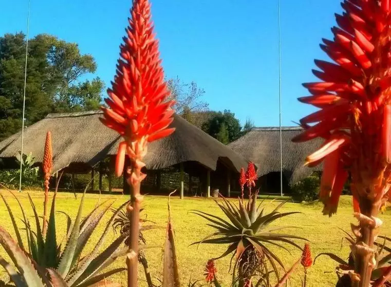 ベッドアンドブレックファースト African Flair Country Lodge