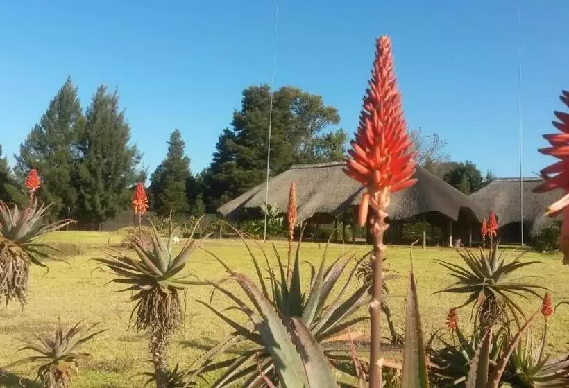 ベッドアンドブレックファースト African Flair Country Lodge