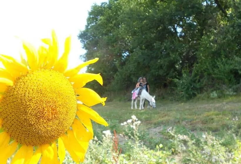 Aamiaismajoitus (B&B) Domaine Jardin D En Naoua