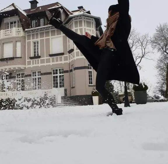 ベッドアンドブレックファースト Le Chateau De Fresnoy En Gohelle