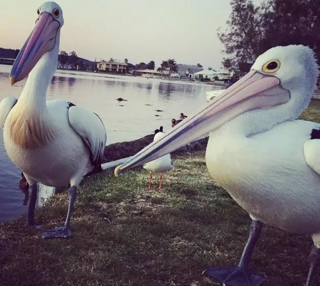 Churchill S B&b Twin Spa Getaway Studio