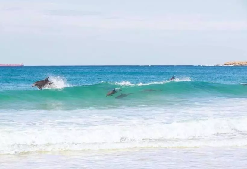 Churchill S B&b Twin Spa Getaway Studio