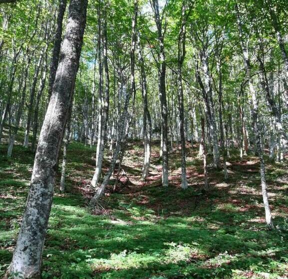 Отель Agriturismo Campo Rosso