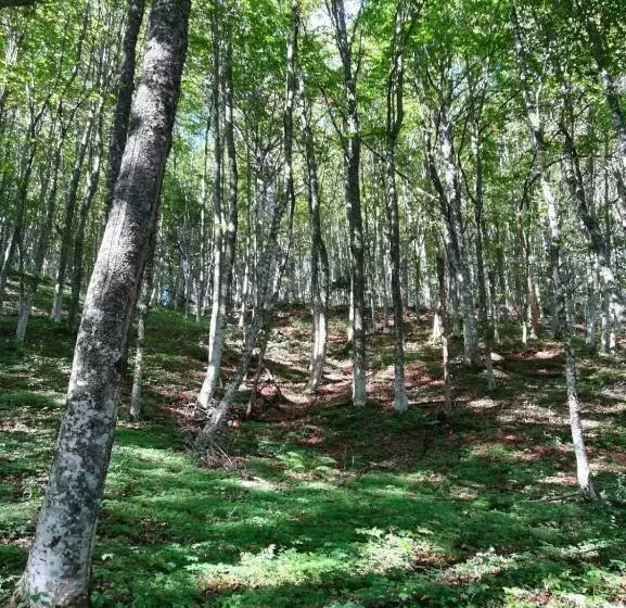 Hotelli Agriturismo Campo Rosso