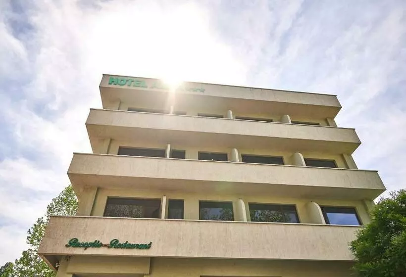 Hotel Alma Mamaia