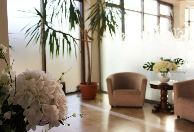 Hotel Alma Mamaia