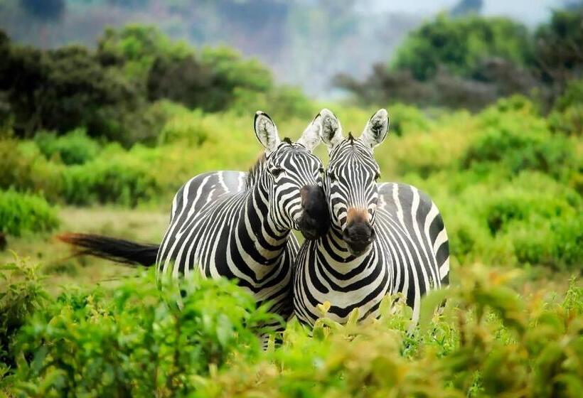 ホテル Pabala Private Nature Reserve