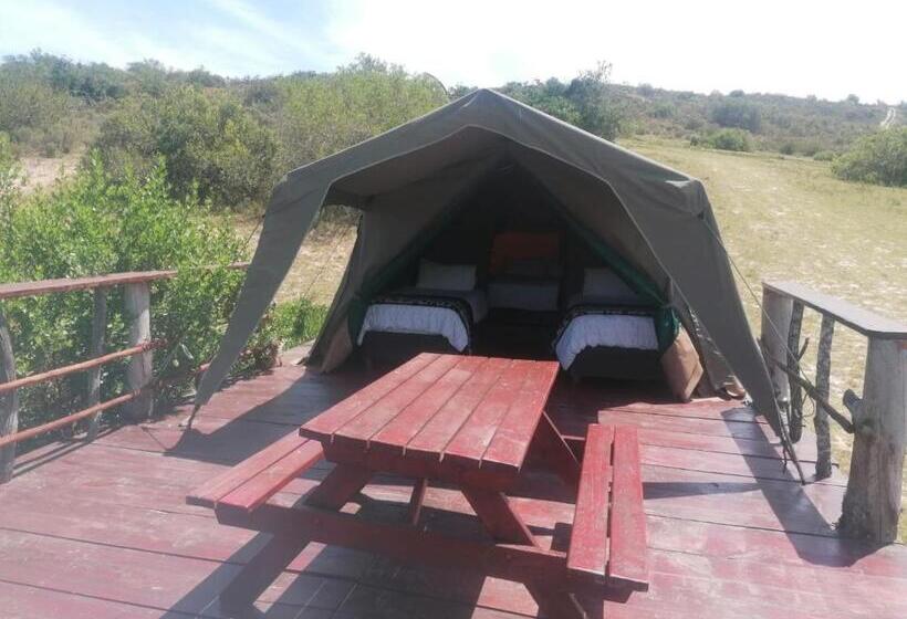 ホテル Pabala Private Nature Reserve