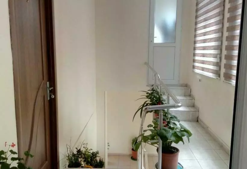 پانسیون Sheki Guest House