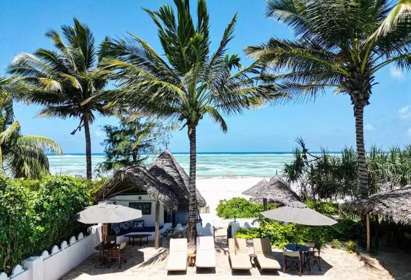 Hotelli Zanzibar Retreat