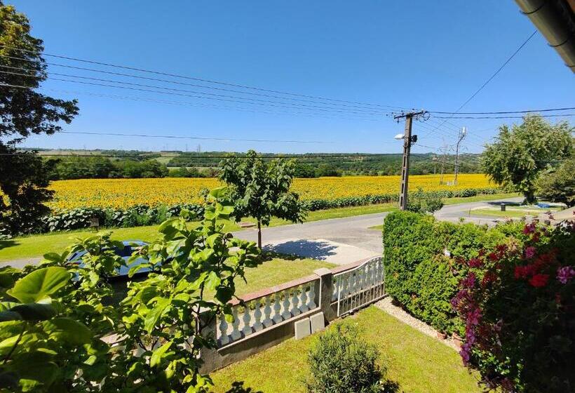 Pensjonat Viola House