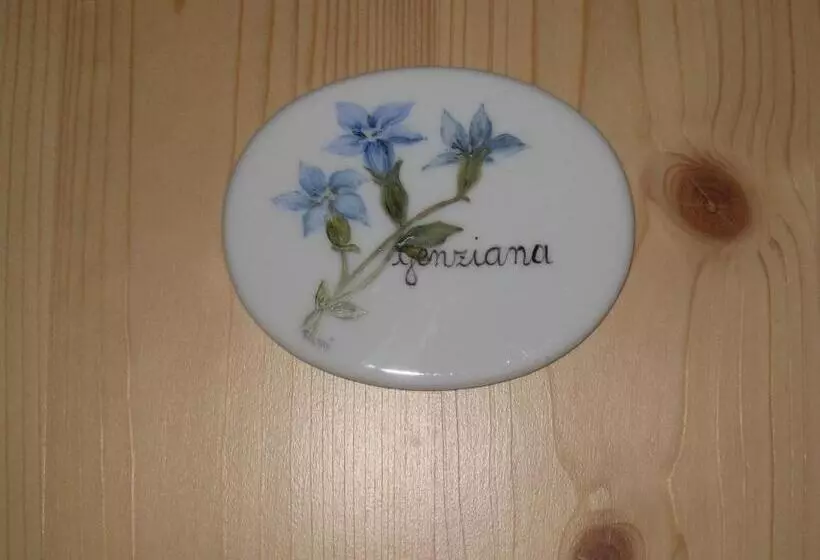 B&b Anna Maria