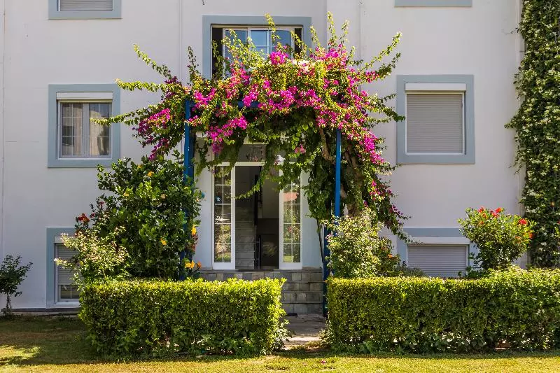 酒店 Evdokia Apartments